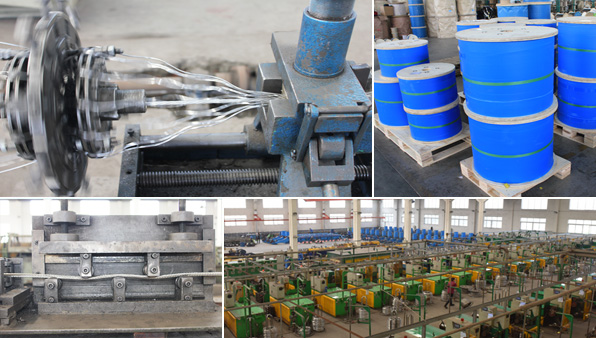 ������ʢʵ��