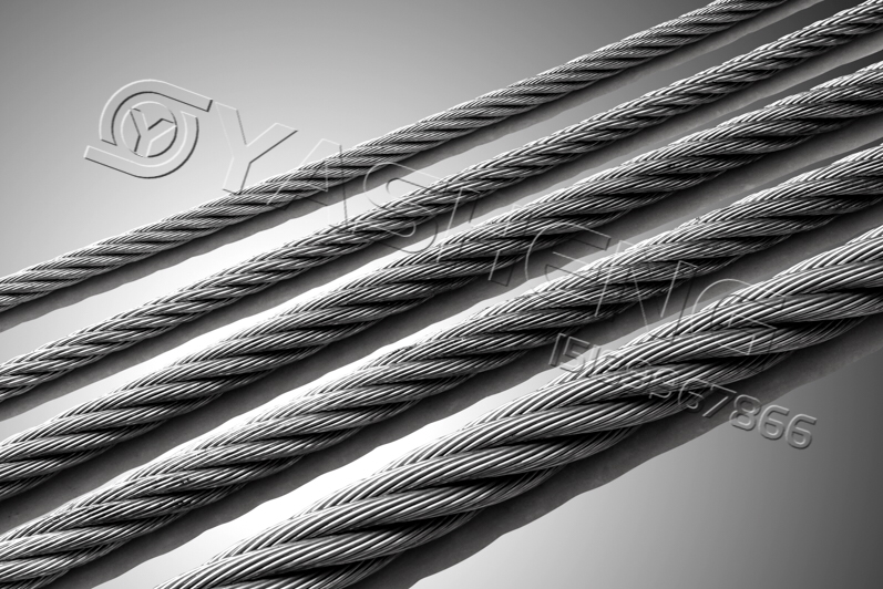 ��α����ֲ��ʵ�α��